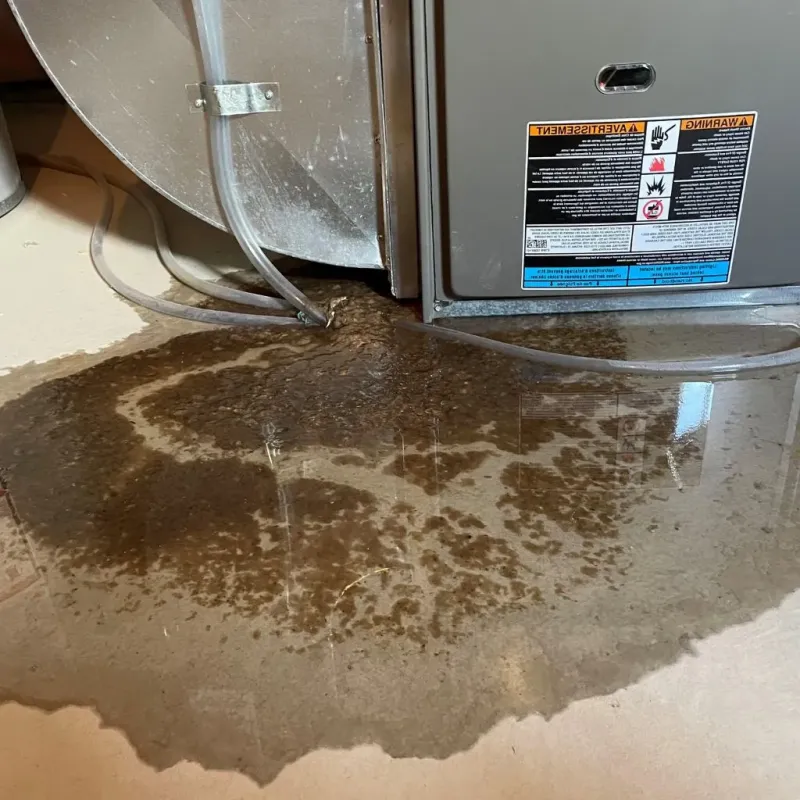 Pipe Burst and Leak Restoration in Colesville, MD